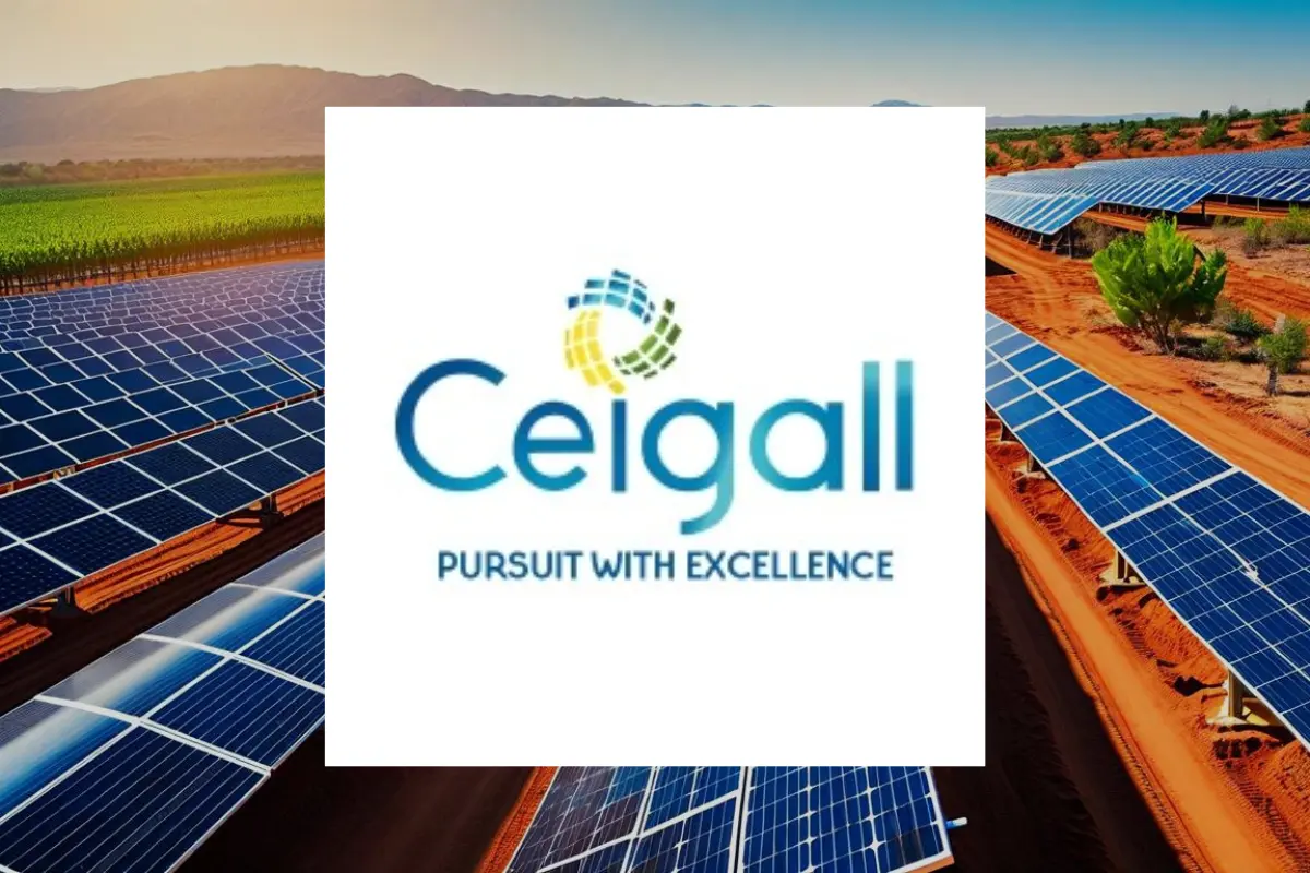Ceigall India Ltd Share Price Target