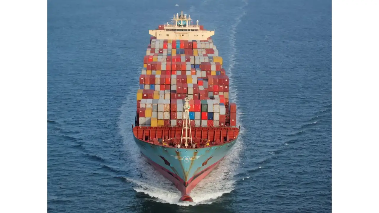 Seacoast Shipping Share Price Target