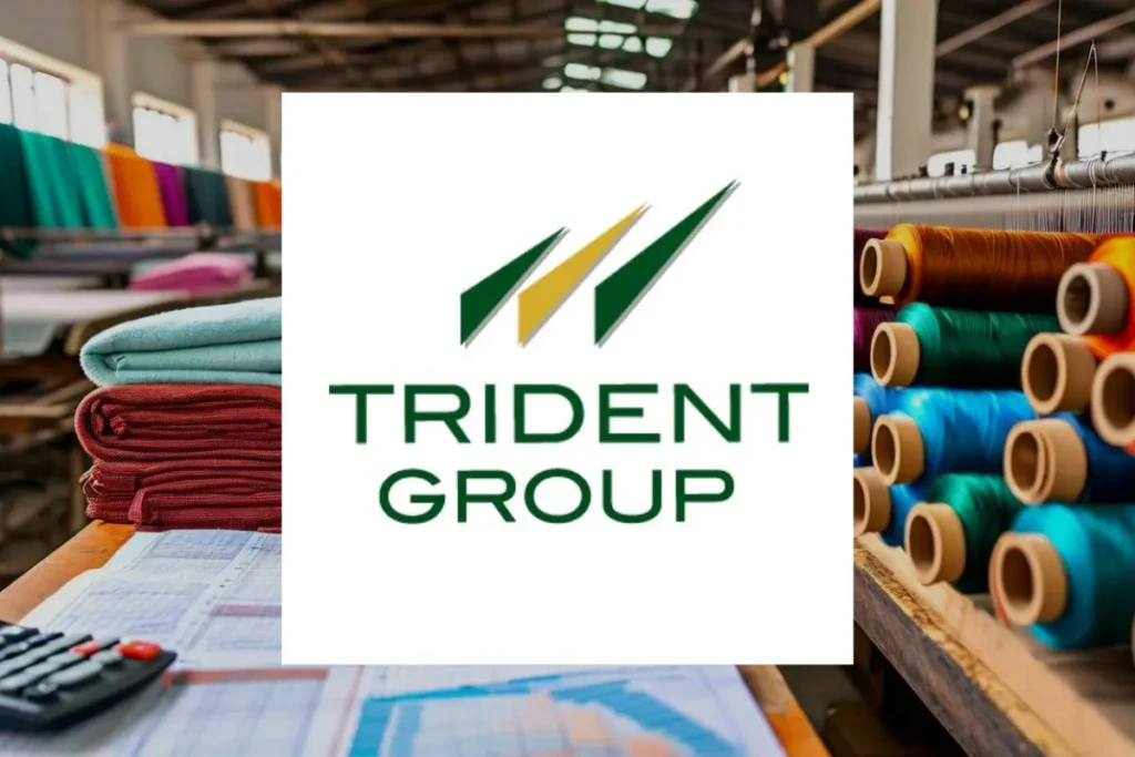 Trident Share Price Target
